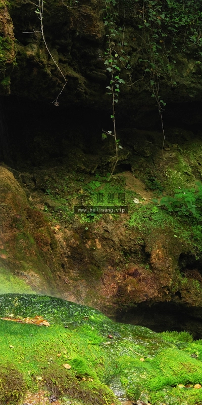 【4706】风景壁纸  2K 高清壁纸2560_1600@青蛙壁纸-笨猫小站