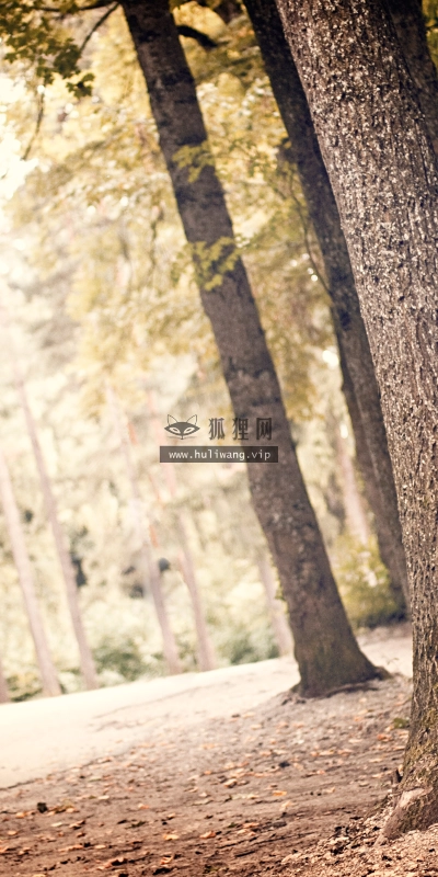 【4735】风景壁纸  2K 高清壁纸2560_1600@青蛙壁纸-笨猫小站