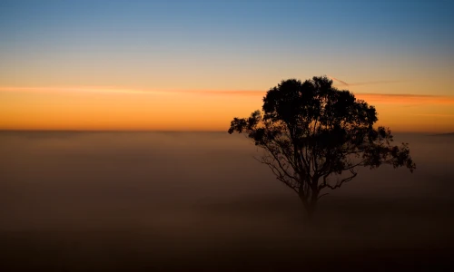 【4744】风景壁纸  2K 高清壁纸2560_1600@青蛙壁纸-笨猫小站