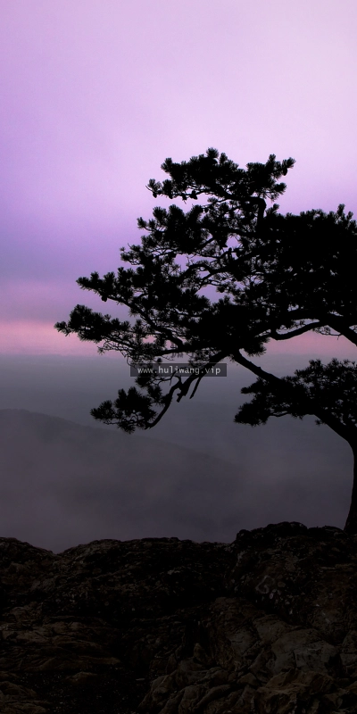 【4789】风景壁纸  2K 高清壁纸2560_1600@青蛙壁纸-笨猫小站