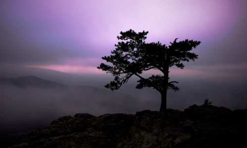 【4789】风景壁纸  2K 高清壁纸2560_1600@青蛙壁纸-笨猫小站