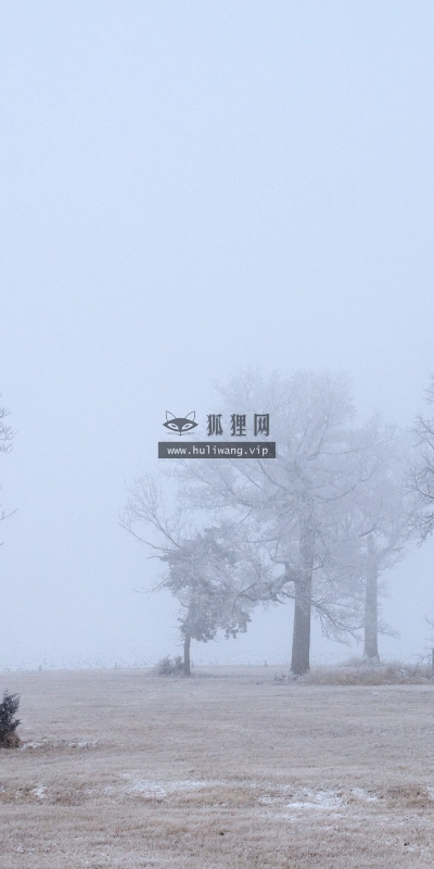 【4841】风景壁纸  2K 高清壁纸2560_1600@青蛙壁纸-笨猫小站
