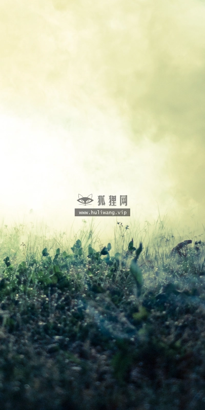 【4867】风景壁纸  2K 高清壁纸2560_1600@青蛙壁纸-笨猫小站