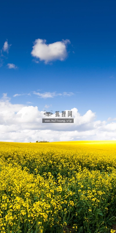 【4946】风景壁纸  2K 高清壁纸2560_1600@青蛙壁纸-笨猫小站