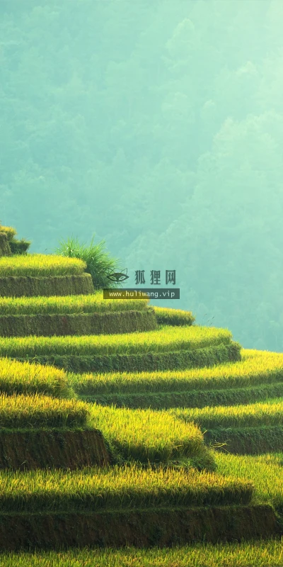 【4962】风景壁纸  8K 超清壁纸7680_4320@青蛙壁纸-笨猫小站