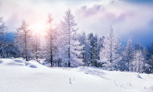 【4981】风景壁纸  8K 超清壁纸7680_4320@青蛙壁纸-笨猫小站