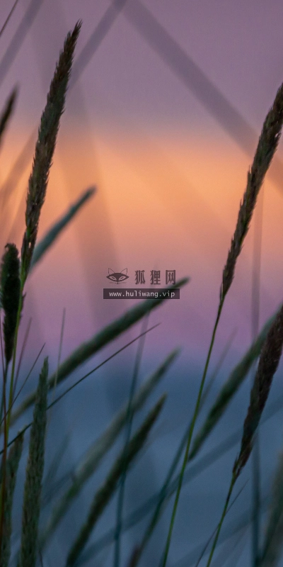 【4993】风景壁纸  2K 高清壁纸2560_1600@青蛙壁纸-笨猫小站