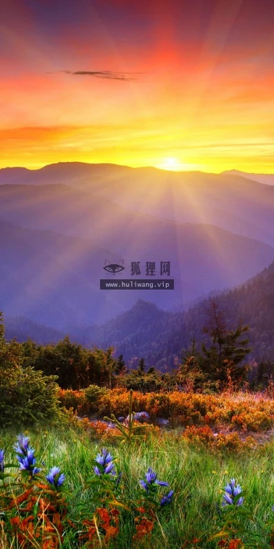 【5012】风景壁纸  8K 超清壁纸7680_4320@青蛙壁纸-笨猫小站