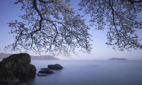 【5013】风景壁纸  8K 超清壁纸7680_4320@青蛙壁纸-笨猫小站