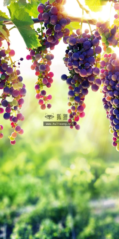 【5016】风景壁纸  8K 超清壁纸7680_4320@青蛙壁纸-笨猫小站