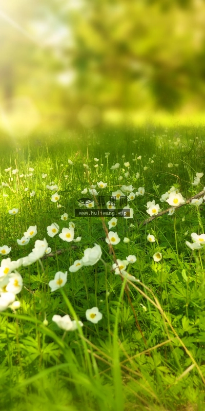 【5050】风景壁纸  2K 高清壁纸2560_1600@青蛙壁纸-笨猫小站