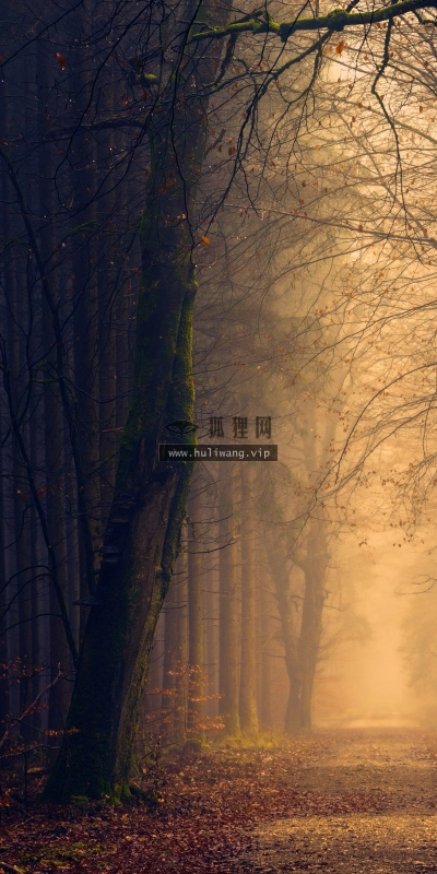 【5052】风景壁纸  2K 高清壁纸2560_1600@青蛙壁纸-笨猫小站