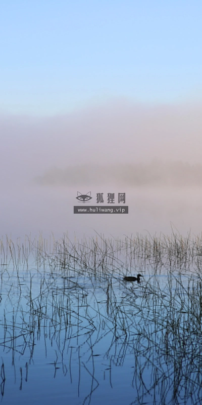 【5079】风景壁纸  2K 高清壁纸2560_1600@青蛙壁纸-笨猫小站