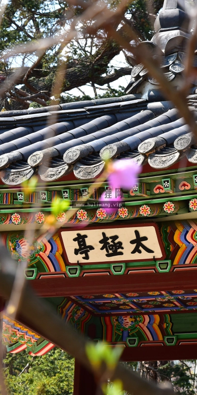 【5124】风景壁纸  2K 高清壁纸2560_1600@青蛙壁纸-笨猫小站