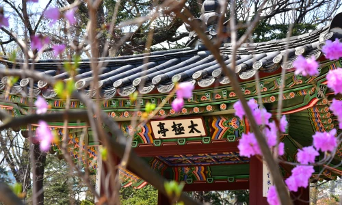 【5124】风景壁纸  2K 高清壁纸2560_1600@青蛙壁纸-笨猫小站