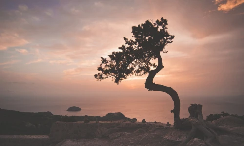 【5154】风景壁纸  2K 高清壁纸2560_1600@青蛙壁纸-笨猫小站