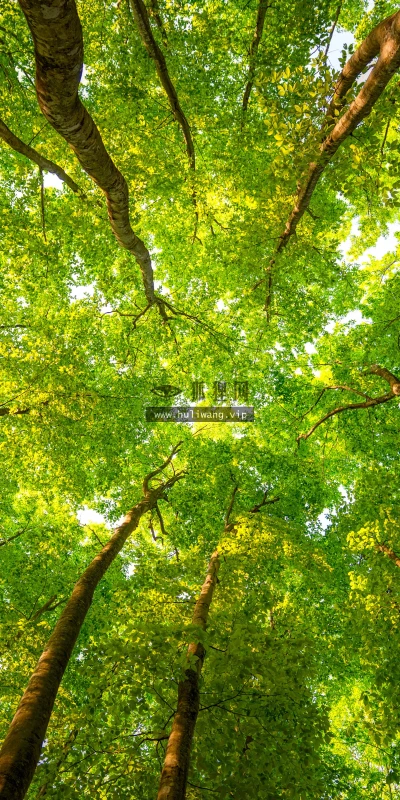 【5207】风景壁纸  8K 超清壁纸7680_4320@青蛙壁纸-笨猫小站