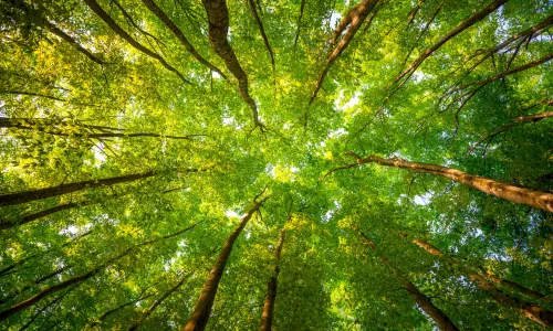 【5207】风景壁纸  8K 超清壁纸7680_4320@青蛙壁纸-笨猫小站