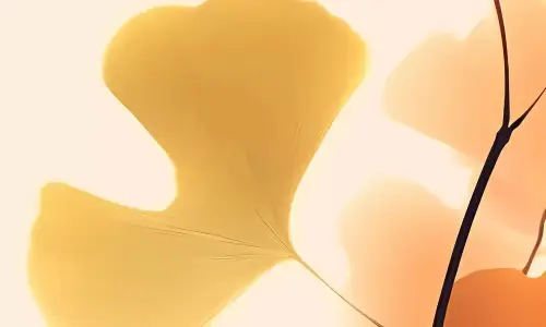 【5218】创意壁纸  8K 超清壁纸2140_4898@青蛙壁纸-笨猫小站
