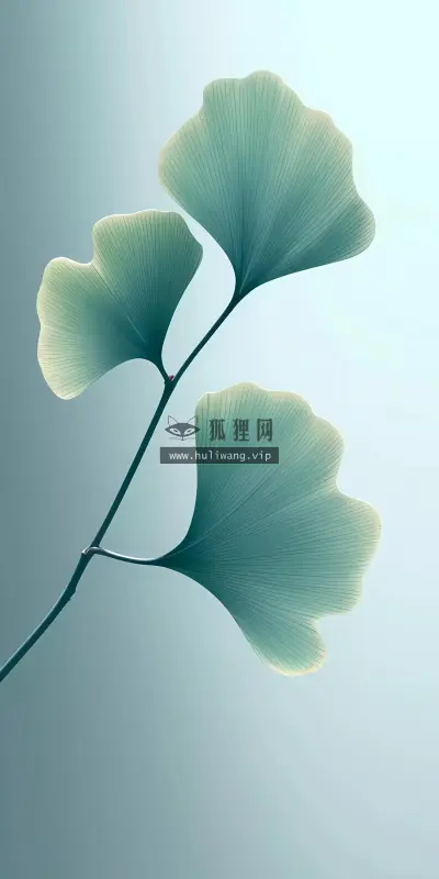【5219】创意壁纸  8K 超清壁纸2140_4898@青蛙壁纸-笨猫小站