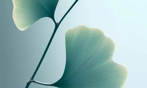 【5219】创意壁纸  8K 超清壁纸2140_4898@青蛙壁纸-笨猫小站