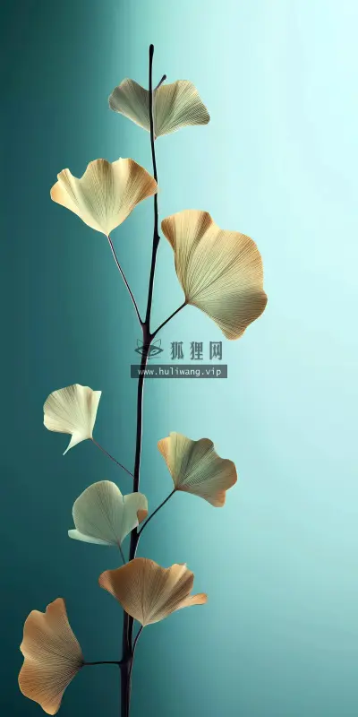 【5223】创意壁纸  8K 超清壁纸2140_4898@青蛙壁纸-笨猫小站