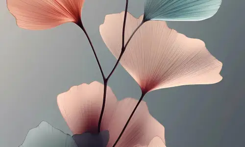 【5224】创意壁纸  8K 超清壁纸2140_4898@青蛙壁纸-笨猫小站