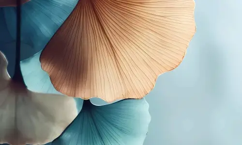 【5225】创意壁纸  8K 超清壁纸2140_4898@青蛙壁纸-笨猫小站