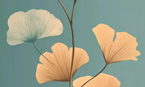 【5226】创意壁纸  8K 超清壁纸2140_4898@青蛙壁纸-笨猫小站