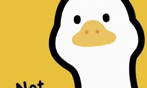 【5247】创意壁纸  2K 高清壁纸690_1494@青蛙壁纸-笨猫小站