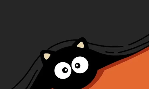 【5249】创意壁纸  4K 超清壁纸1080_2338@青蛙壁纸-笨猫小站