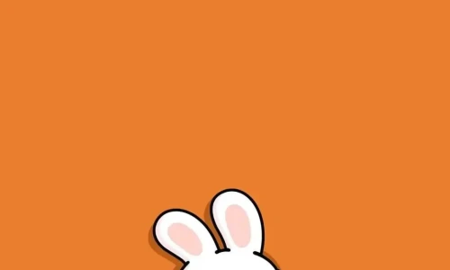【5257】创意壁纸  4K 超清壁纸1080_2338@青蛙壁纸-笨猫小站