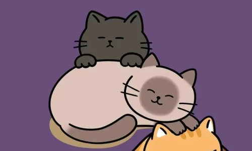 【5261】创意壁纸  4K 超清壁纸1080_2338@青蛙壁纸-笨猫小站