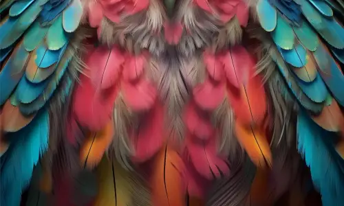 【5907】动物壁纸  8K 超清壁纸2119_4944@青蛙壁纸-笨猫小站