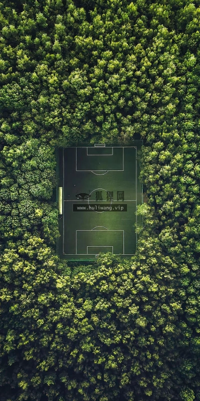 【5994】创意壁纸  4K 超清壁纸1422_3000@青蛙壁纸-笨猫小站