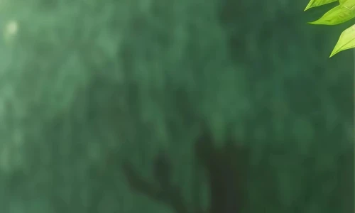 【6008】唯美壁纸  4K 超清壁纸1080_2400@青蛙壁纸-笨猫小站