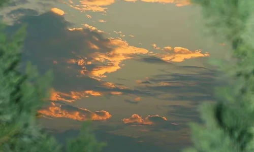 【6031】风景壁纸  4K 超清壁纸1080_2336@青蛙壁纸-笨猫小站