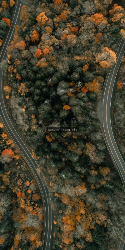 【6158】风景壁纸  4K 超清壁纸1242_2688@青蛙壁纸-笨猫小站