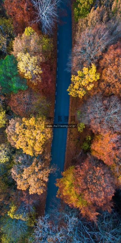 【6159】风景壁纸  4K 超清壁纸1242_2688@青蛙壁纸-笨猫小站