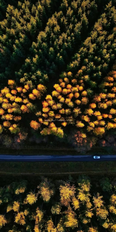 【6161】风景壁纸  4K 超清壁纸1242_2688@青蛙壁纸-笨猫小站