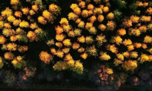 【6161】风景壁纸  4K 超清壁纸1242_2688@青蛙壁纸-笨猫小站
