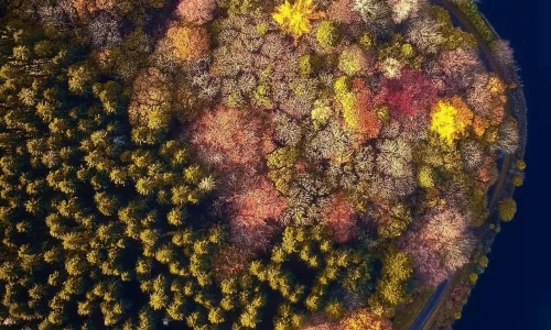 【6162】风景壁纸  4K 超清壁纸1242_2688@青蛙壁纸-笨猫小站