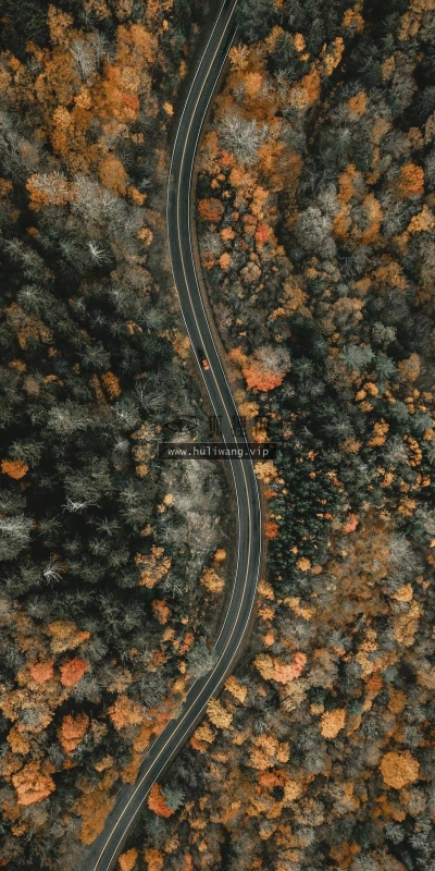 【6163】风景壁纸  4K 超清壁纸1242_2688@青蛙壁纸-笨猫小站