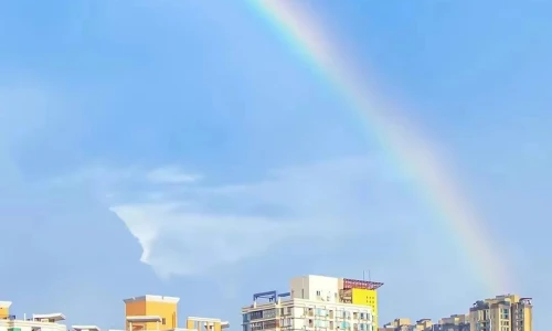 【6216】唯美壁纸  2K 高清壁纸1080_1920@青蛙壁纸-笨猫小站