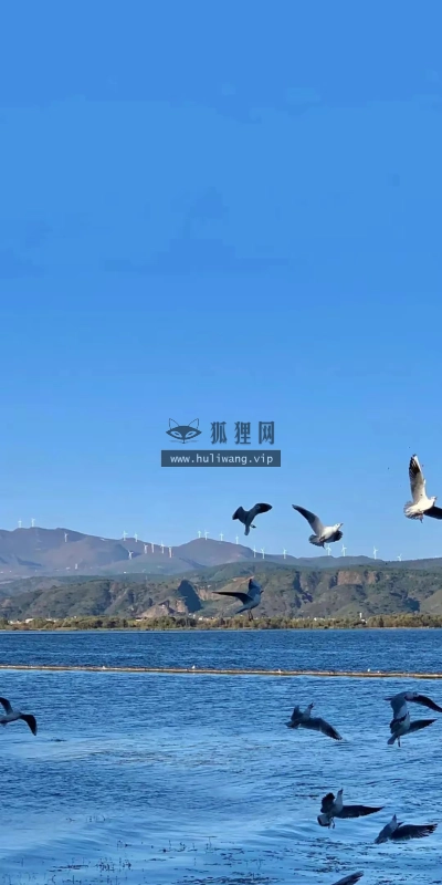 【6219】风景壁纸  4K 超清壁纸1080_2338@青蛙壁纸-笨猫小站