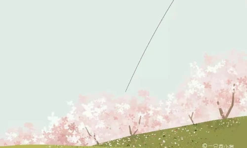 【6268】创意壁纸  4K 超清壁纸1080_2338@青蛙壁纸-笨猫小站