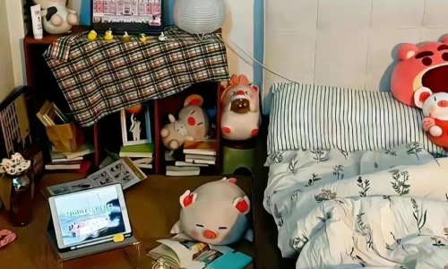 【6314】创意壁纸  4K 超清壁纸1080_2338@青蛙壁纸-笨猫小站
