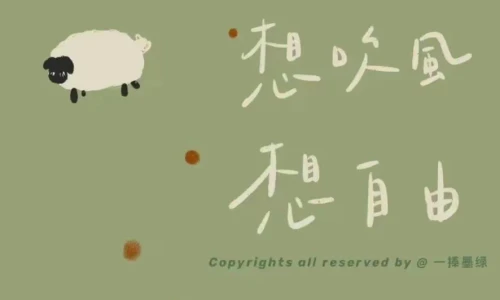 【6376】文字壁纸  2K 高清壁纸886_1920@青蛙壁纸-笨猫小站
