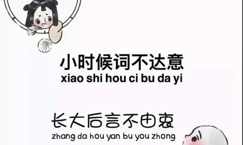 【6377】文字壁纸  2K 高清壁纸886_1920@青蛙壁纸-笨猫小站