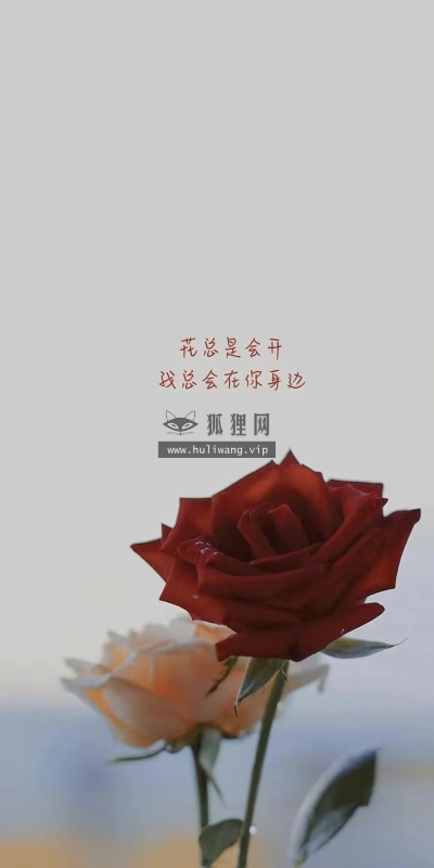 【6394】文字壁纸  2K 高清壁纸888_1920@青蛙壁纸-笨猫小站
